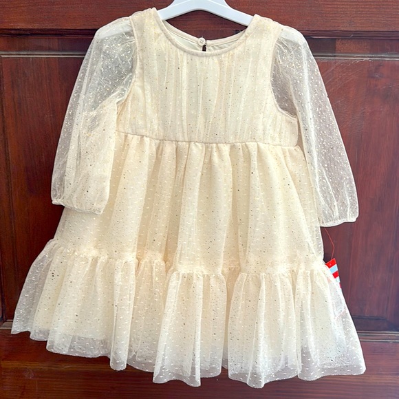 Cat & Jack Other - Cat & Jack Tulle Tiered Dress